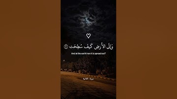 القارئ عبد الرحمن مسعد 💙 |  أَفَلَا يَنظُرُونَ إِلَى الْإِبِلِ كَيْفَ خُلِقَتْ🤍