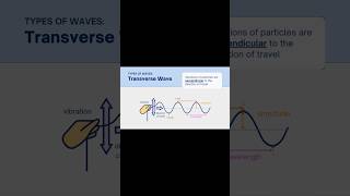 Transverse Vs Longitudinal Waves Which One Rules The Universe?
