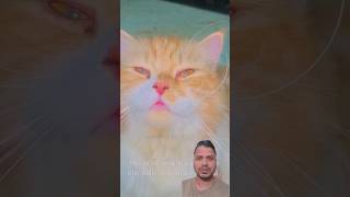 Billu Ke Sath Dhoka, #shorts #comedy #cat #funny #viral #youtubeshorts #catshorts