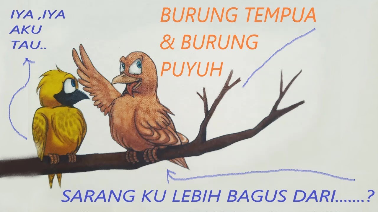 44 Gambar Burung Puyuh Kartun HD