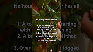 5 Things No Plant Parent Actually Has 😅🪴 #Houseplants #PlantParent #PlantTok