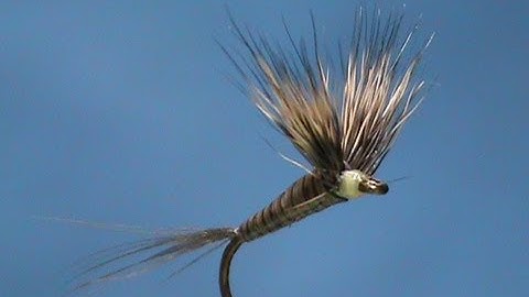 Fly Tying a DC Quill Gordon with Jim Misiura