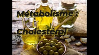 METABOLISME DU CHOLESTEROL