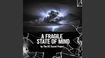 A FRAGILE STATE OF MIND