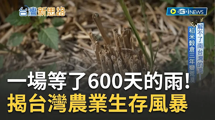 等了600天的雨仍解不了南台灣的渴 稻米穀倉三年變荒漠 直擊稻米產業鏈危機 水荒下農民卑微心聲｜【台灣新思路】20230530｜三立iNEWS - 天天要聞