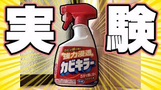 【菌】カビキラーでカビを育ててみた【実験】