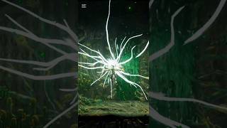 Boss Fight Grime 2 #gaming #actiongame #adventuregame #roleplay #fightinggames