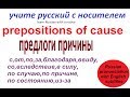 № 238 С, ИЗ-ЗА, ОТ, ПО, ЗА...../ учим русские предлоги