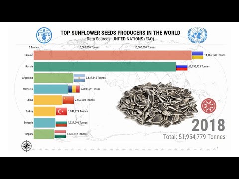 Top Sunflower Seed Producers in The World
