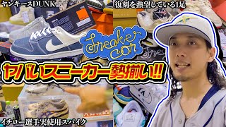 YouTuber向け 弟のめちゃくちゃ臭い靴 YouTuber向け 弟のめちゃくちゃ臭い靴
