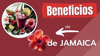 ✨ Descubre los Increíbles Beneficios de la Flor de Jamaica 🌺🌿/Remedios Naturales/