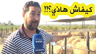 مواطن يستغرب: البوشي كيفاش راهو يبيع اللحم بـ 130 ألف للكيلو..وكبش صغير يقولولنا بـ4 ملايين و500 ألف