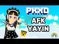 AFK Canlı Yayın! ✨