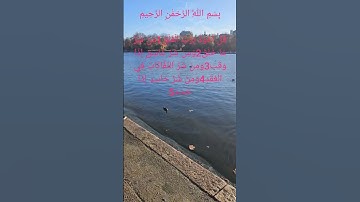 سورة الفلق يتلوها الشيخ احمد العجمي