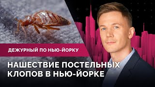 Джо Байден в Нью-Йорке, нашествие постельных клопов, протесты беженцев из-за переселения в Бруклин