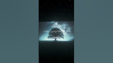سورة الفرقان|27|القارئ:#محمد_اللحيدان #قران #quran #راحة_نفسية #قران_كريم #تلاوة_هادئة ##تلاوة_خاشعة