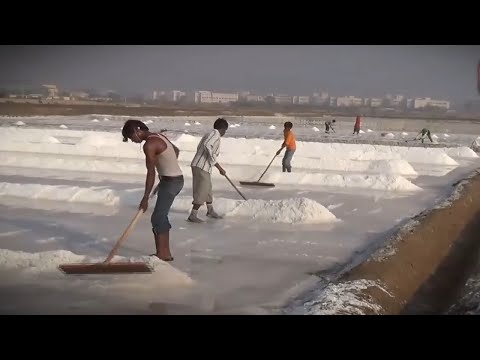 Видео: Как посетить Грейт-Ранн-оф-Катч: основной путеводитель