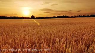 Garden of Healing Yoga: Soft Background Music to Improve Awareness and Regeneration screenshot 4