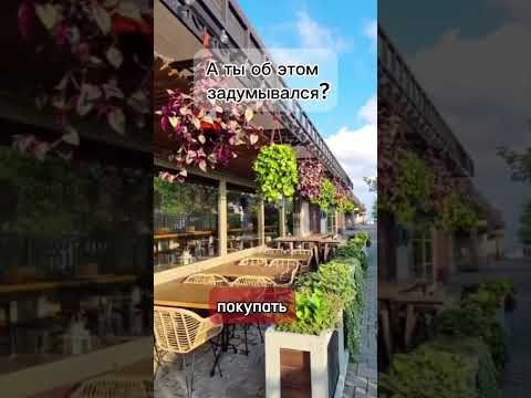 Самые главные потребности человека это ...