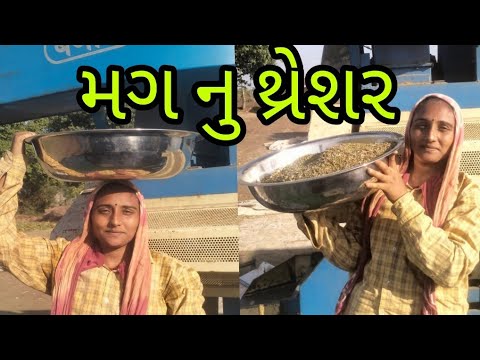 મગ ની મોસમ થ્રેશર મા કામ