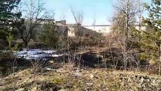 Собака - рятувальник німецька вівчарка Мира (пров.Кузишіна Владислава), Павлоград "Антарєс."