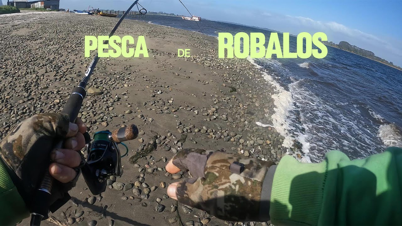 Pesca de Robalos con Carnada Artificial!!!Testeando los famosos Chicles....