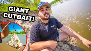 UNEXPECTED Catch while BANK RIVER FISHING with GIANT BAIT!!!