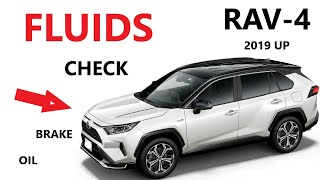 FLUIDS CHECK on 19 23 TOYOTA RAV4 2019 2020 2021 2022 2023 2024