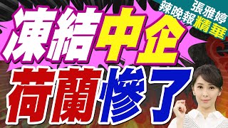 凍結中企 中國2句話警告荷蘭｜凍結中企 荷蘭慘了｜蔡正元.栗正傑.謝寒冰深度剖析【張雅婷辣晚報】精華版 @中天新聞CtiNews