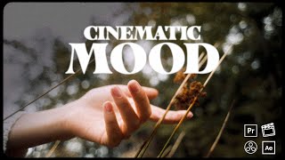 How to get the Cinematic Mood Look   LUT