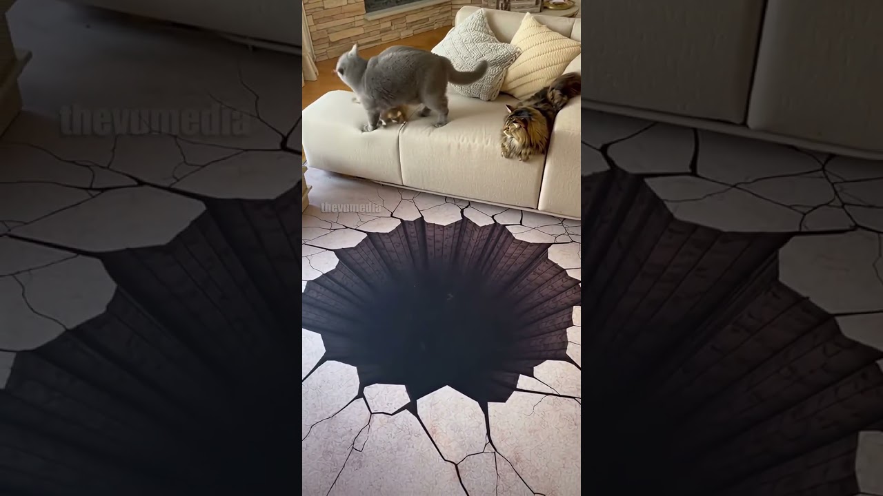 Cats Prank Chihuahua with Sinkhole Rug!