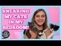 SNEAKING MY KITTENS INTO MY BEDROOM!