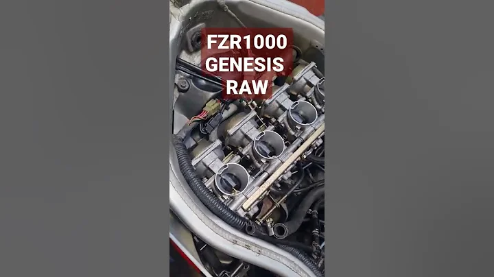 YAMAHA FZR1000 GENESIS 💦💦