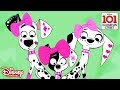 🤩The Woof Factor | 101 Dalmatian Street | Disney Channel Africa