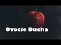 Ovocie Ducha