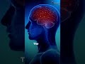 Emotions & Brain #Brain #drhardikrajyaguru #viral #healthtips