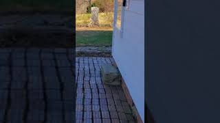 Old City Cemetery Lynchburg, Virginia....the Pest/Smallpox House