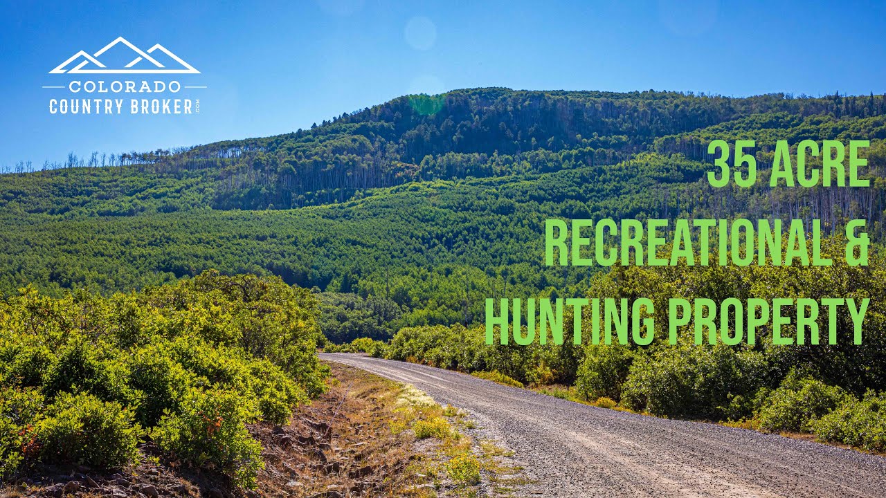 !!!SOLD!!! 35 Acre Recreational & Hunting Property For Sale