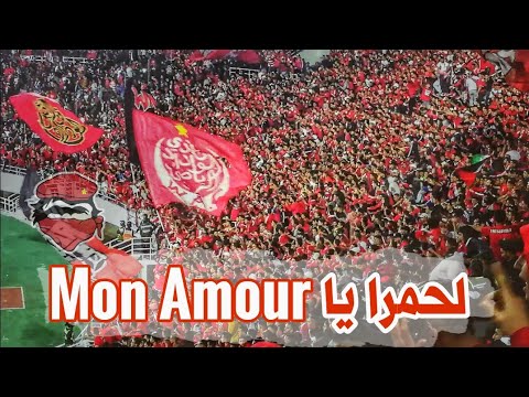 Lhamra Ya Mon Amour لحمرا يا مونامور أداء رائع لجماهير وينرز Wydad Vs Horoya 