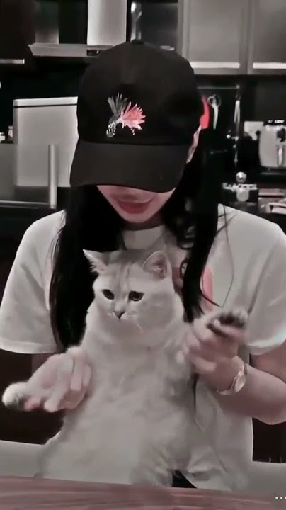 Awww so cute | Lisa's cat dancing to du ddu du ddu | #blackpink#lisa#ddududdudu
