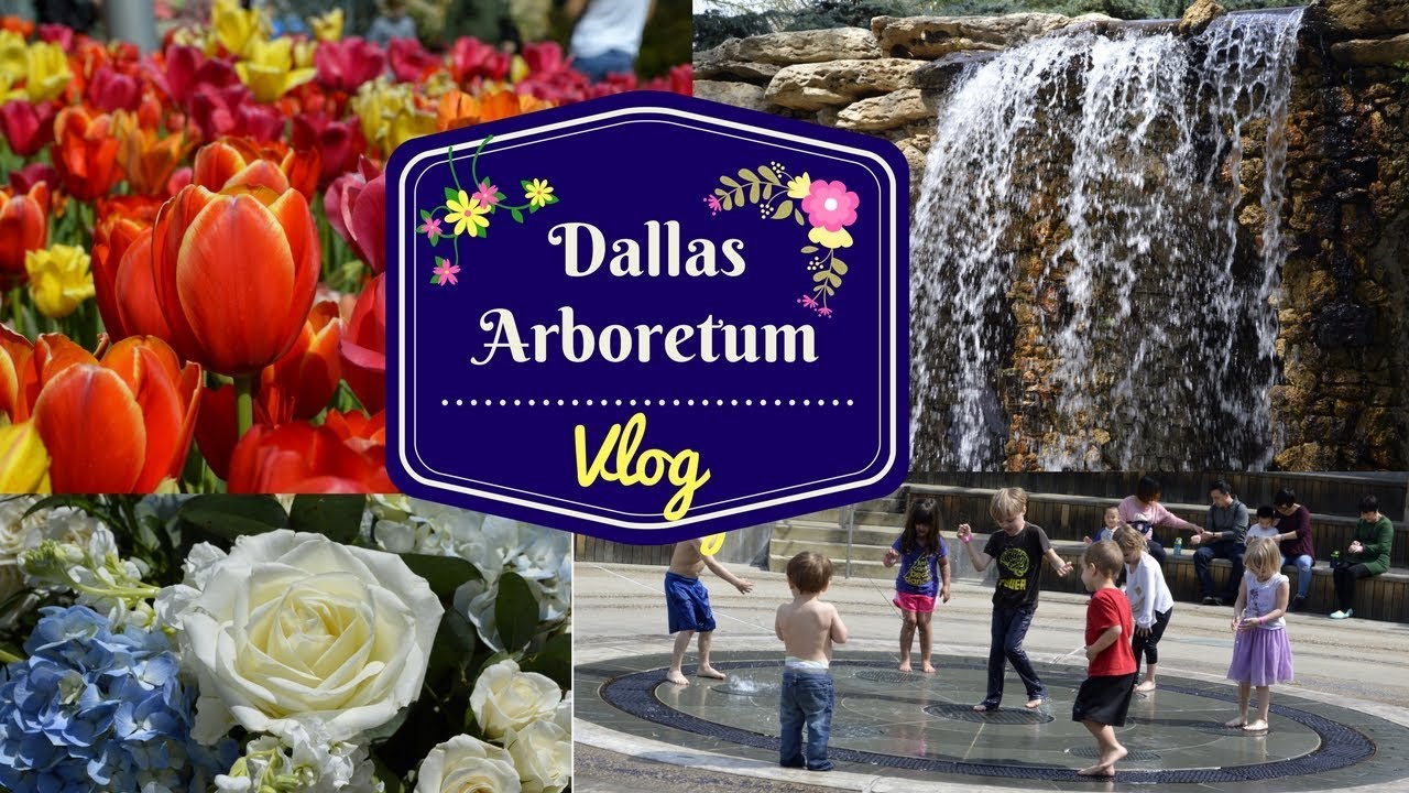 Dallas Tulip Arboretum Vlog 2018 Youtube