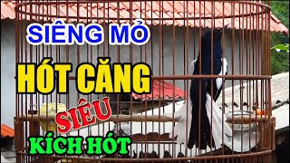 ĐẲNG CẤP || Choè than SIÊNG MỎ - HÓT MÚA || Kích CĂNG LỬA