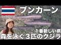 【ブンカーン,タイ】超危険！命懸け完全自己責任で行く崖の上のお寺や、森を泳ぐ３匹クジラなど、タイで1番新しくできた県の観光名所や穴場をお散歩！