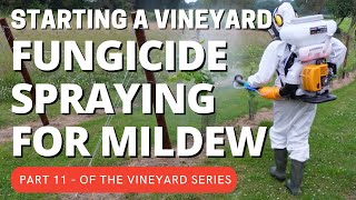 Starting a vineyard part 11 - Fungicide spraying for Mildew and other fungal infections.