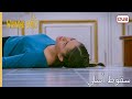 سقوط أسلي الطيور الجريحة 201 سقوط أسلي الطيور الجريحة 201