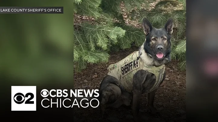 Illinois K-9 Dax dies days after retirement