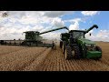 Wheat Harvest 2019 near Baldwin Illinois