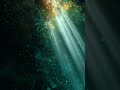 Relaxing Music for Stress Relief and Positive Energy