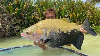 Fishing For Giant Tambaqui In Thailand - Species Challenge