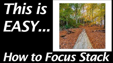 Photo FOCUS Stacking tutorial (RAW file download included) in LIGHTROOM 2022 and PHOTOSHOP 2022